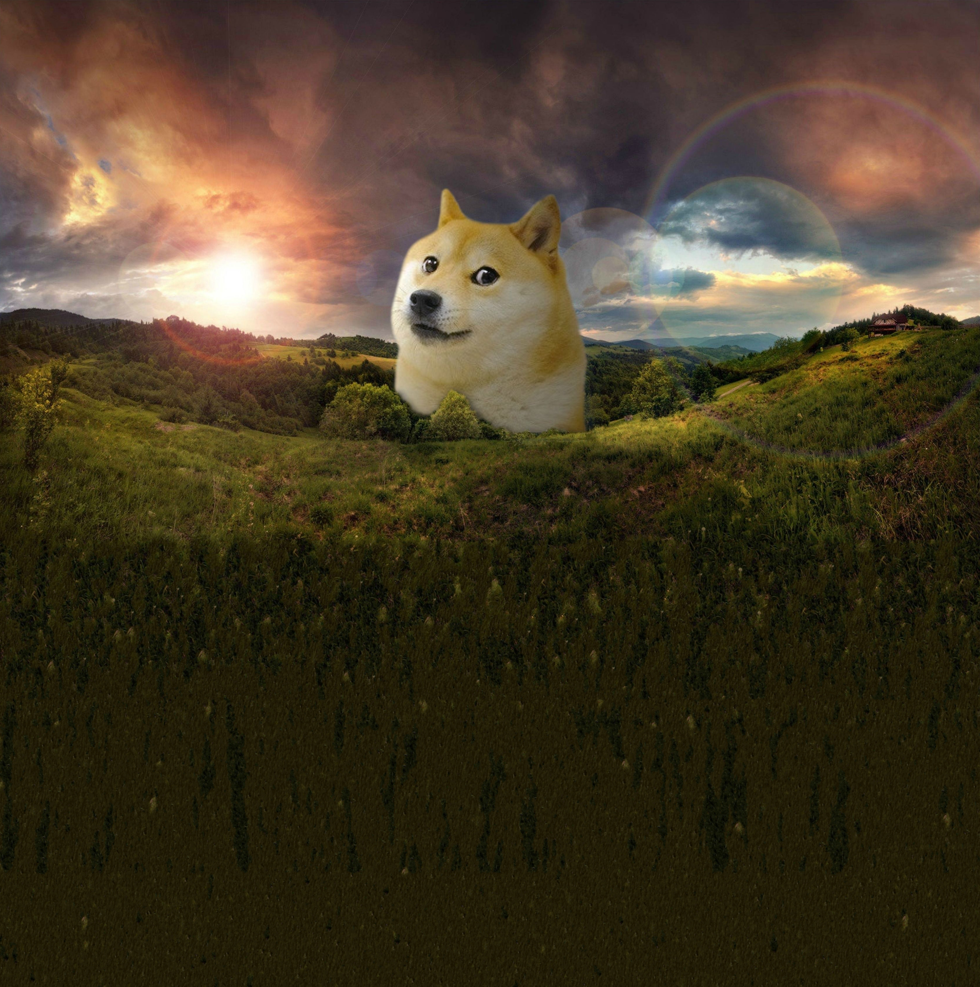 Doge is God