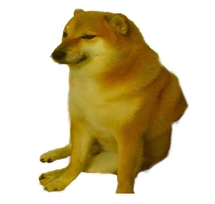 Doge Meme