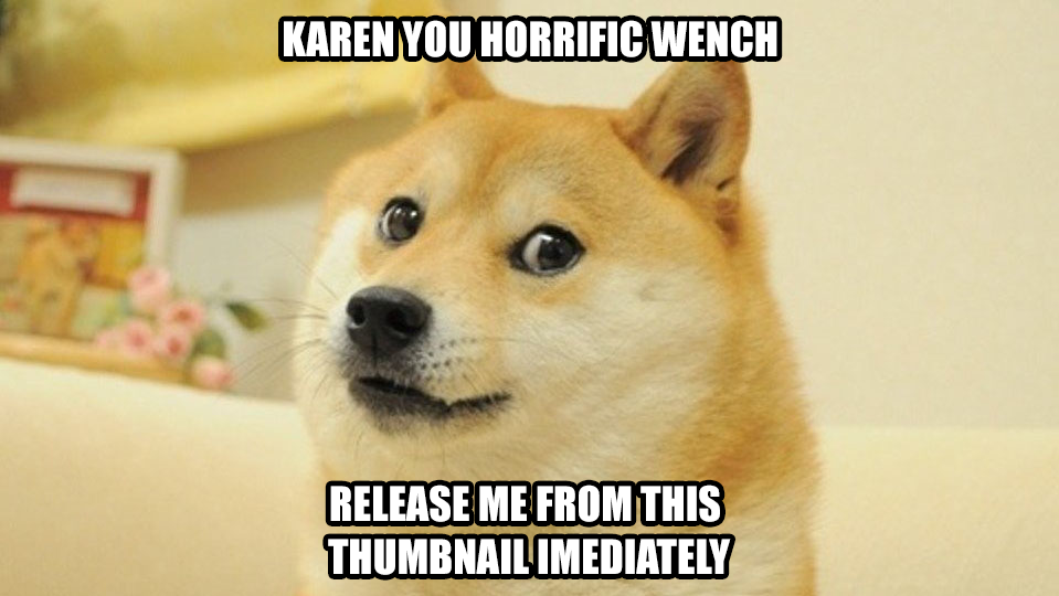 Doge Meme