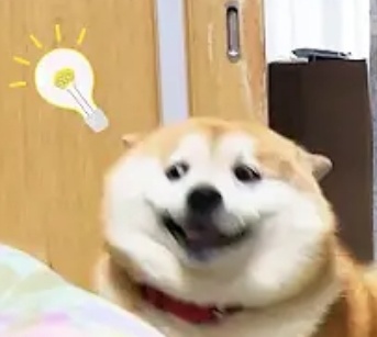 Doge Meme