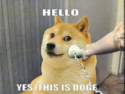 Doge Meme