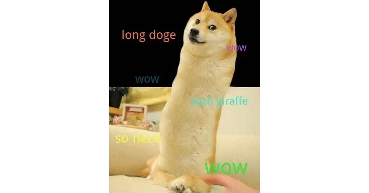 Doge Meme