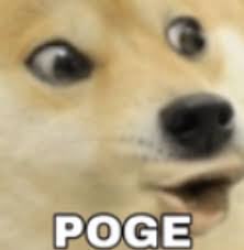 Doge Meme