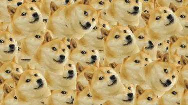 Doge Meme