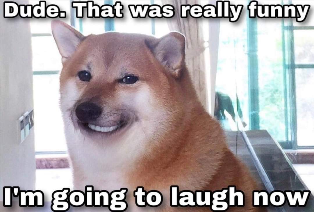 Doge Meme