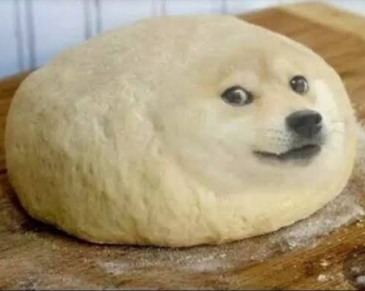 Doge Meme