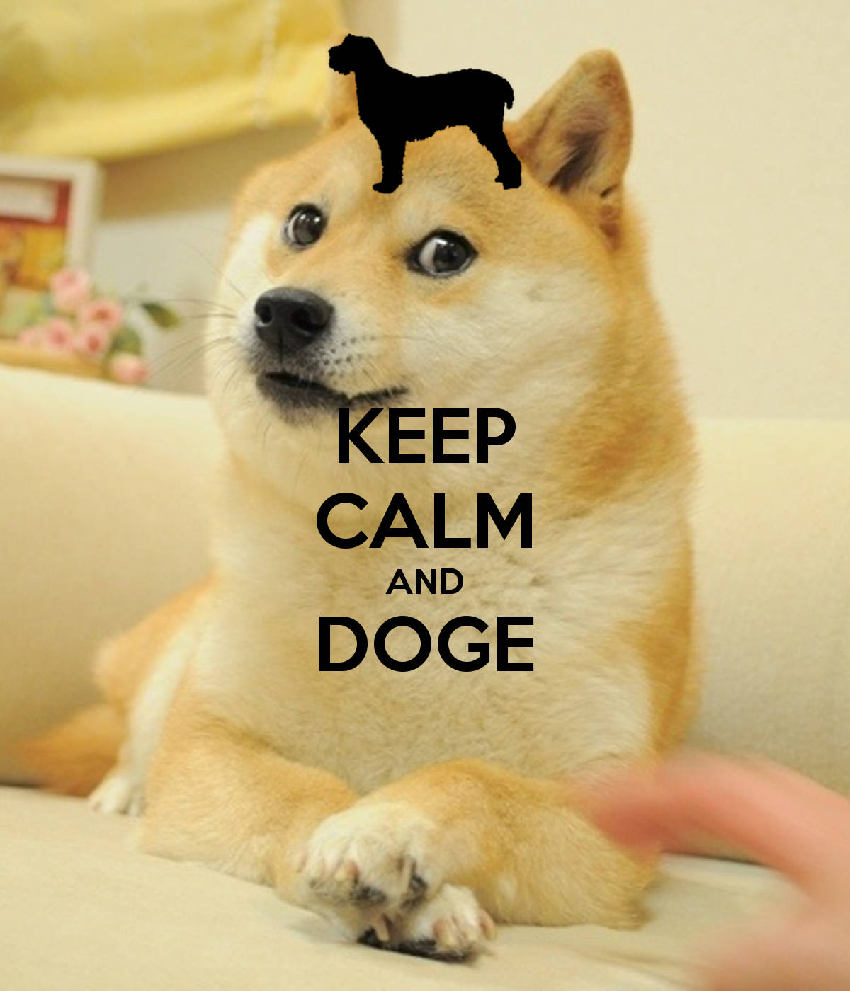 Doge Meme