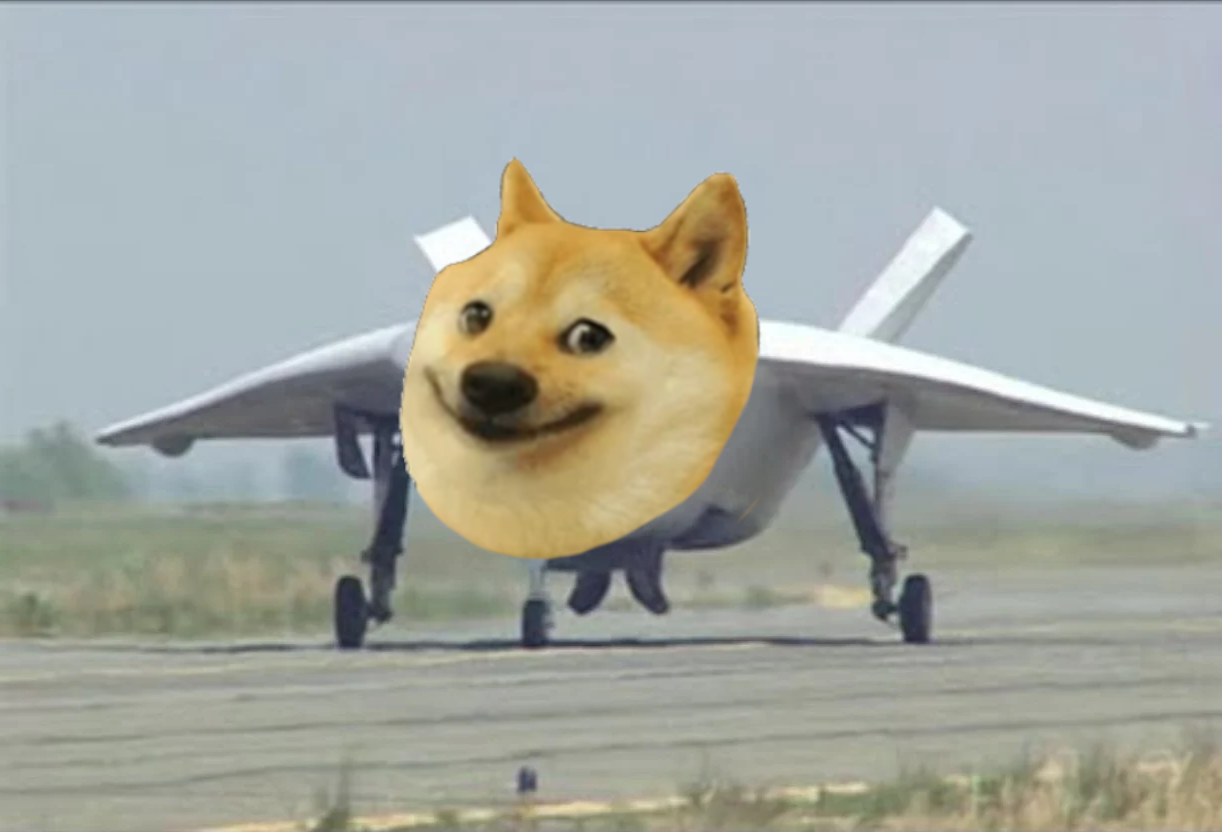 Doge Meme