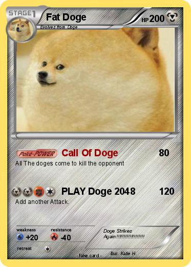 Doge Meme