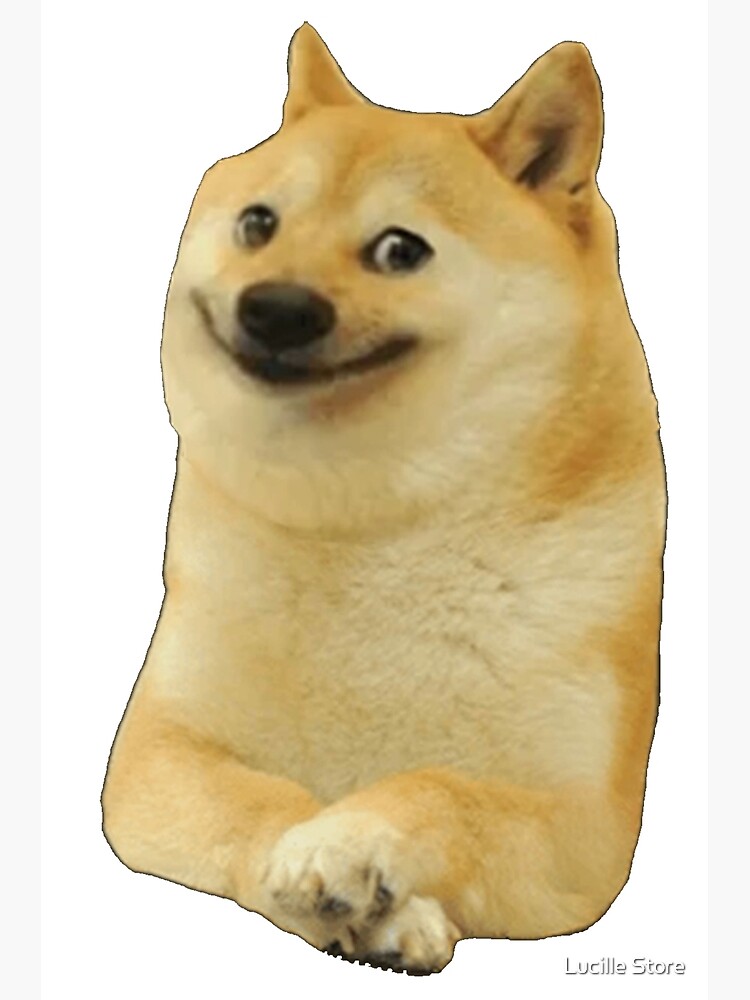 Doge Meme