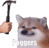 Doge Meme