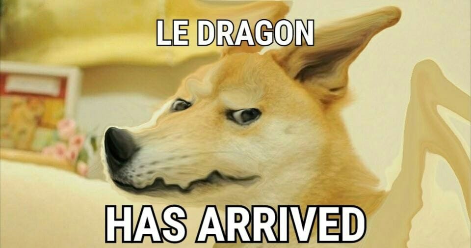 Doge Meme