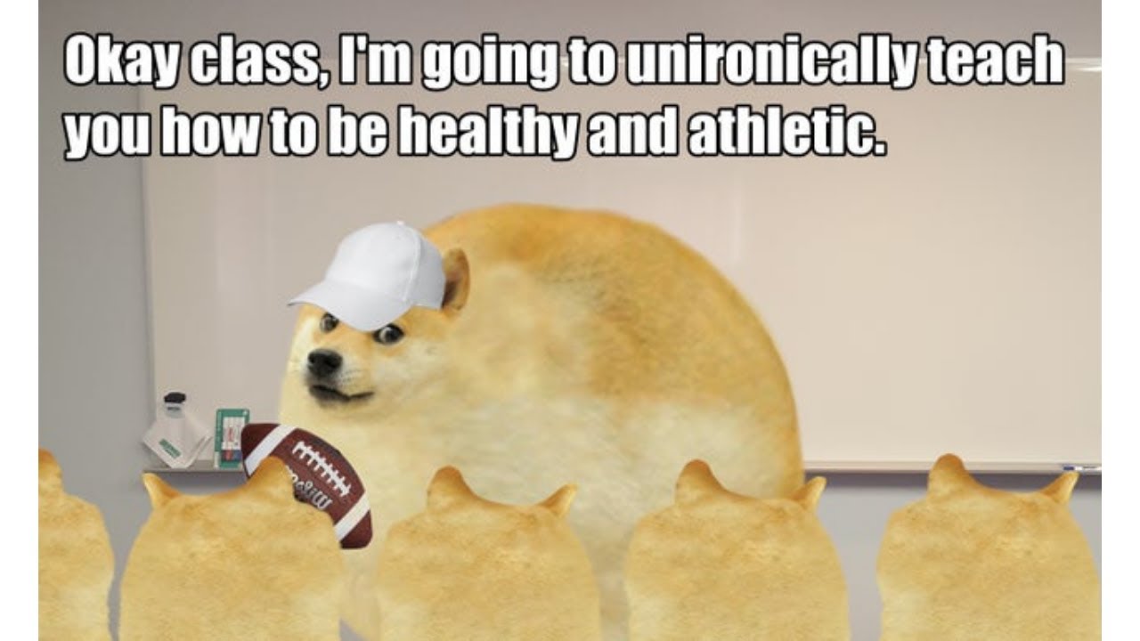 Doge Meme